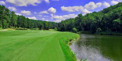 Pine Tree Country Club